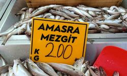 Balıkçılar palamut için "kestane karası"nı bekliyor