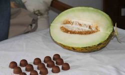 Çankırı’nın meşhur kavunu çikolatayla birleşti, vatandaşlar hayran kaldı