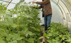 Berberlikten arta kalan zamanını doğaya ayırıyor