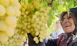 Ekim ayı bitiyor, üzüm bitmiyor