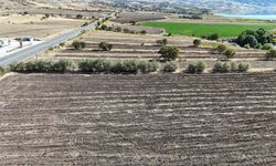 Fransa’dan köyüne döndü, sera kurulumu için çalışmalara başladı