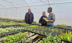 Kadın çiftçiler üretime güç katıyor