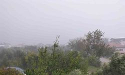 Köyceğiz’de fırtına ve sağanak yağış etkili oldu