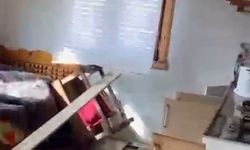 Rize yaylalarında ayı paniği: 20 ev talan edildi