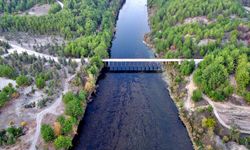 Mersin ve Adana Çevre Mühendisleri Odalarından uyarı dolu ortak açıklama