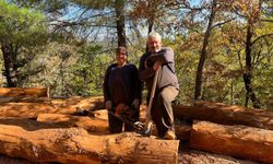 Mersinli karı-koca 35 yıldır ormanlarda damgalanan ağaçları kesiyorlar