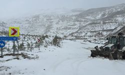 Adana’nın yüksek kesimlerinde kar yağışı etkili oldu