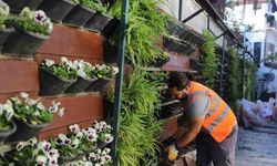 Antalya’da 4 milyon çiçek toprakla buluşuyor