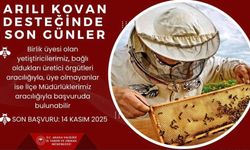 ’Arılı kovan’ desteği için son gün