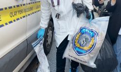 Böcek ailesinin kaldığı Fatih’teki otelde yeni gelişme: Odadaki eşyaları incelemeye götürüldü