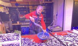 Denizlerde bollaşan hamsi tezgahlarda 100 TL’ye yer buldu