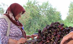 Dondurulmuş kirazda da dünya lideriyiz