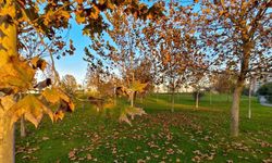 Güzelyurt sonbahar renklerine büründü