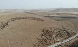 Kars’ta göçerlerin zoru yolculuğu başladı