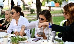 Mikro yeşilliklerle minyatür bahçeler oluşturdular