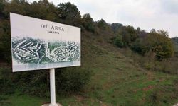 Ormana tabela asıp milyonlar topladılar