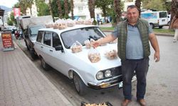 Ormanda sağanak yağmur altında kendiliğinden yetişiyor, kilogramı 350 TL’den satılıyor