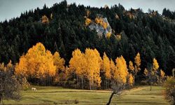 Şavşat’tan kartpostallık manzaralar