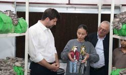 Tarsus’ta istiridye mantarı kursunda ilk hasat sevinci