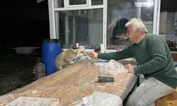 Tilki ailesi her akşam yemek için bağ evine geliyor