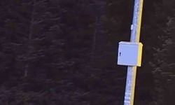 Uludağ’da kış uykusuna yatmayan ayılar, çöp konteynerlerini talan etti