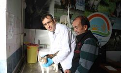 Uşak’ta kedi ve köpek sahiplerine mikroçip uyarısı