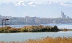Van Gölü Havzası, Türkiye’nin en fazla sulak alanına ev sahipliği yapıyor
