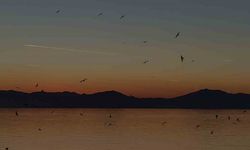 Van semalarında kartpostallık akşam: Uçaklar, kuşlar ve kızıl günbatımı büyüledi