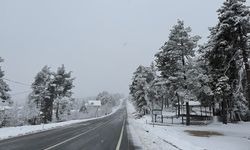 Yaz şehri Mersin'de kar birçok mahalleyi beyaza bürüdü