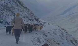 Ağrı’da kar ve tipi hayatı durdurdu