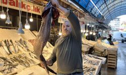 Akdeniz'de 1,5 metrelik Atlas balığı yakalandı