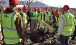 Bakan Bayraktar: "Enerjide tam bağımsız, doğasıyla yeşil bir Türkiye için çalışıyoruz"