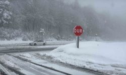 Bolu Dağı'nda kar yağışı yeniden başladı