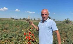 Dedesi seçimde muhtar oldu adına "Seçim" konuldu