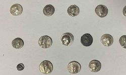 Hatay’da 26 sikke kargo ile göndermek üzereyken ele geçirildi