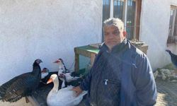 Hindi var, kaz var alıcı yok: Tezgâhlarda durgunluk