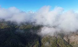 Kastamonu’da sis bulutları ve ormanların buluşması mest etti