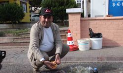 Lezzeti cezbediyor, toplaması dikkat istiyor