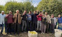 Limonun başkenti Mersin'de hasat zamanı