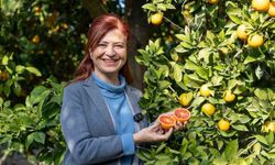 Mersin kan portakalında hedef AB tescili