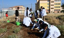 Öğrencilere ’tohumdan sofraya’ tarım eğitimi