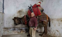 Şap karantinası nedeniyle iptal edilen deve güreşleri sektörde sıkıntıya neden oldu