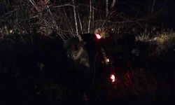 Şarampole devrilen otomobilden sızan yakıt paniğe neden oldu