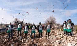 Şehidin adı sedir ormanında yaşatılıyor
