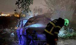 Tarlada park halindeki otomobil alev topuna döndü, geriye demir yığınları kaldı