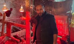 Tavuklara müzikli terapi: "Yumurta verimi arttı"