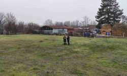 Türkiye'nin en eski kadastro davası 75 yıl sonra sonuçlandı