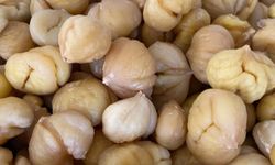 Türkiye’nin yüzde 33’ünü karşılayan Aydın Kestanesi, ihracata hazırlanıyor