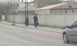 Van’da dolu yağışı şehri beyaza bürüdü