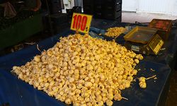 Sarımsağın kilosu markette 200 TL, pazarda 100 TL!